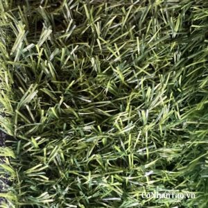 Ứng dụng đa dạng của cỏ nhân tạo HNC 10 trong đời sống