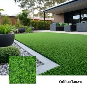 Cỏ nhân tạo sân vườn HNC 8
