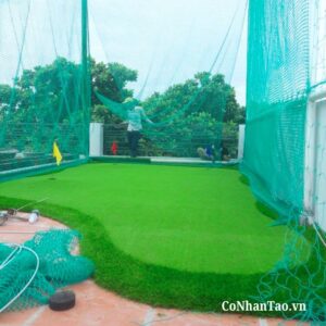 Ứng dụng thực tế của Cỏ Golf V3