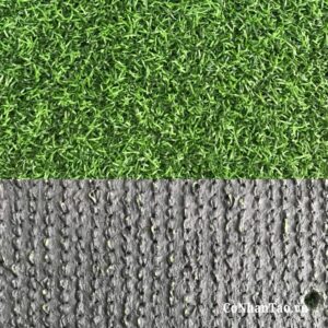 Xem khả năng đàn hồi thực tế của cỏ