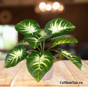 Cây Giả Cây Ngân Hậu 30cm (2)