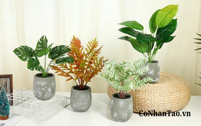 Cây hoa giả tranh trí