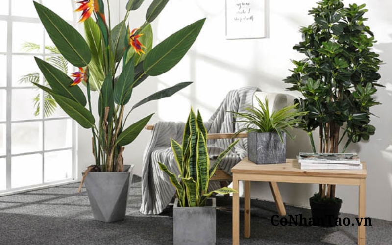 Cây hoa giả chậu lớn