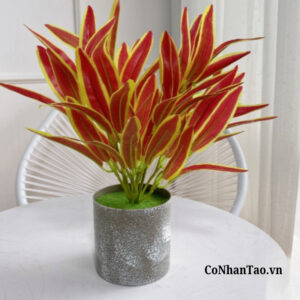 Cây Giả - Cỏ Lan Chi