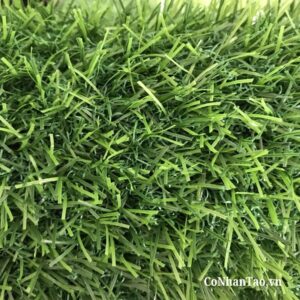 Ưu điểm nổi bật của dòng cỏ HNC 18