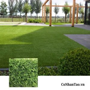 Tổng quan về Cỏ nhân tạo Sân vườn HNC 18