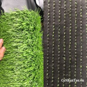 Sự khác biệt tạo nên đẳng cấp của Cỏ HNC 19 so với thị trường