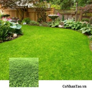 Tổng quan về Cỏ nhân tạo Sân vườn HNC 24