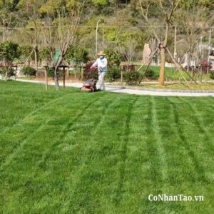 Hướng dẫn bảo quản để tăng tuổi thọ