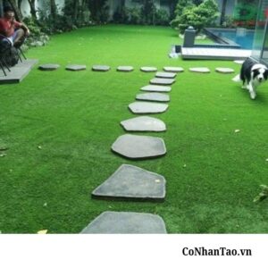 Ứng dụng đột phá của Cỏ nhân tạo sân vườn HNC 28