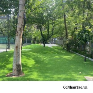 Mẹo bảo quản cỏ HNC 28 bền đẹp lâu dài