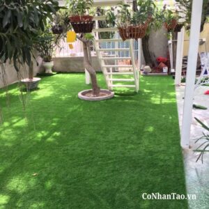 Ưu điểm nổi bật của dòng cỏ HNC 28