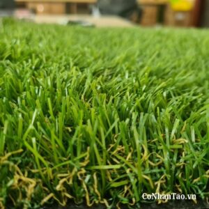 Ưu điểm nổi bật của dòng cỏ HNC 30