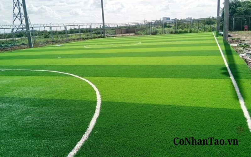 Cỏ nhân tạo thể thao sân bóng