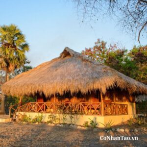 Lưu ý khi lựa chọn & thi công tấm lá dừa nhân tạo