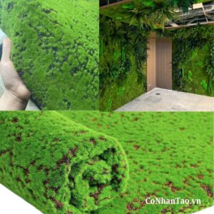 Rêu loang nhân tạo