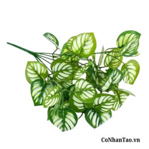 Thiết kế nhỏ gọn, phù hợp với nhiều không gian trang trí