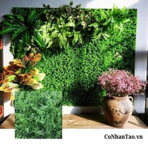 Cỏ dương xỉ nhân tạo là gì?