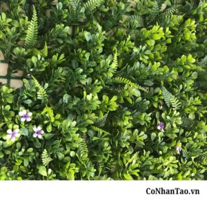 Cỏ La Hán nhân tạo là gì?