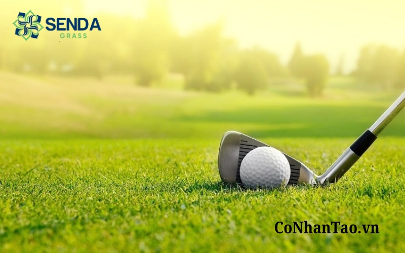 Kinh nghiệm chọn cỏ nhân tạo sân golf chất lượng