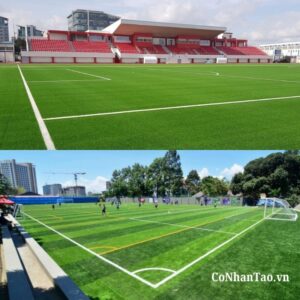 Tại sao nên chọn đơn vị Cỏ nhân tạo?