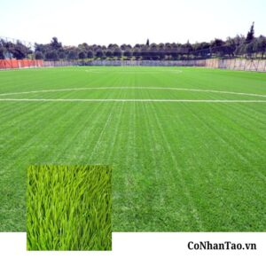 Giới thiệu tổng quan về sản phẩm HNC 14S1412