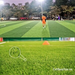 Hướng dẫn bảo quản sân bóng bền đẹp