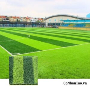 Tổng quan về dòng cỏ nhân tạo HNC 17D1608