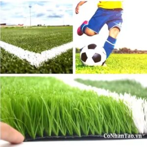 Ứng dụng của Cỏ nhân tạo sân bóng HNC 300FF – FiFa