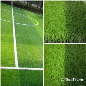 Ứng dụng của cỏ nhân tạo sân bóng HNC 30D