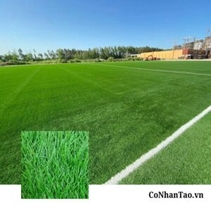 Cỏ nhân tạo sân bóng HNC 30D