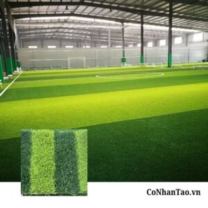 Tìm hiểu về dòng cỏ nhân tạo HNC 350FF – Tiêu chuẩn FiFa