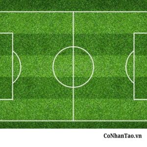 Hướng dẫn bảo dưỡng sân cỏ HNC 38D1308 bền đẹp như mới