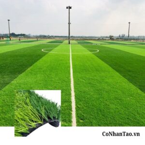 Cỏ nhân tạo sân bóng HNC 38D1308