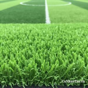 Tại sao nên chọn đơn vị Cỏ nhân tạo?