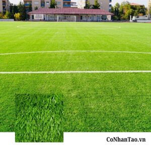 Giới thiệu tổng quan về sản phẩm HNC 38S1308