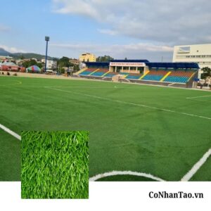 Cỏ nhân tạo sân bóng không hạt cao su là gì?
